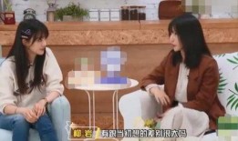 郑爽家庭主妇最新爆料,真实生活与公众形象大揭秘