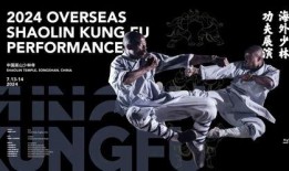 少林高手爆料视频大全,独家爆料视频大全背后的传奇故事